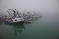 Valdez Fishermen Harbor